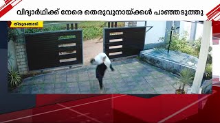 വിദ്യാർഥിക്ക്‌ നേരെ പാഞ്ഞടുത്ത് തെരുവുനായ്ക്കൾ; രക്ഷപ്പെട്ടത് തലനാരിഴയ്ക്ക് | Malappuram