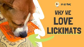 6 Reasons I LOVE LickiMats For My Dog!