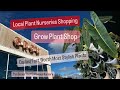 Big Box Store Plant Shopping Comparing to Local Nursery Grow Plant Shop and Calloway's Rare Plants