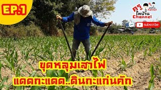 เดินสายไฟไปทุ่งนา EP.1 ขุดหลุมเสาไฟ