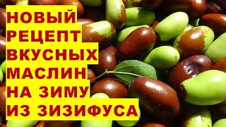 Заготовка на зиму очень вкусных маслин из ягод зизифуса по рецепту наших подписчиков