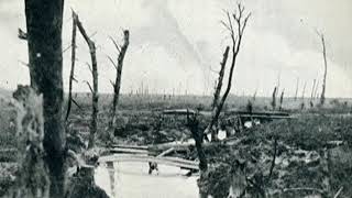 Battle of Langemarck August 16 1917