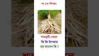 শতমূলী খেলে কি কি উপকার হয় জানেন কি? #health #healthylife #healthyfood #short