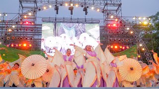 [4K] 神戸学生よさこいチーム湊　にっぽんど真ん中祭り 2019 どまつり 土曜日 (中央)