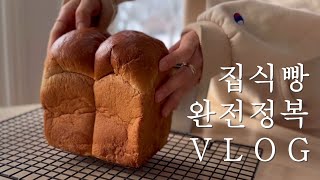 집에서 만드는 식빵을 정복하라!/ 북극한파 눈속에 갇히면 일어나는 일/식빵으로 만들수 있는 찰나의 행복/ 미국일상 Vlog