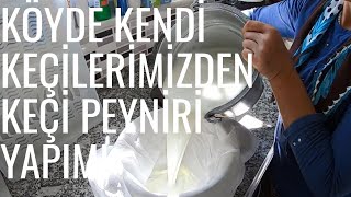 EV YAPIMI KEÇİ PEYNİRİ /KÖY GÜNLÜKLERİ DOĞAL KEÇİ PEYNİR YAPIMI