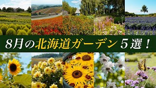 【夏の北海道観光】8月に訪れてほしい『おすすめガーデン５選＋α』見頃の花も紹介！