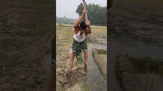 জীবনে প্রচুর পরিশ্রম করতে হবে #viralvideo #comedy #nature