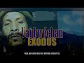 FREE VAYBWECHAN - EXODUS - Reggae freestyle