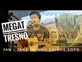 MEGAT TRESNO AKUSTIK cover lirik Bellanono || Ki Joko Edan