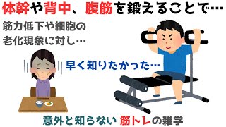 筋トレの意外と知られていない常識的な雑学【基礎】