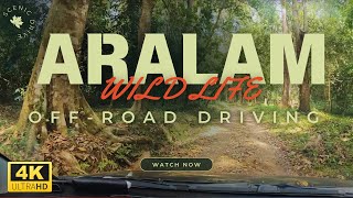 Aralam Wildlife Sanctuary - Off-Road Drive - Scenic drive #roadtrip #scenicdrive