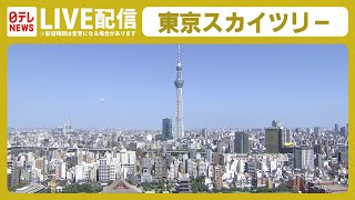 【ライブカメラ】夏の東京――浅草寺周辺から隅田川・スカイツリーを眺める  / Summer Tokyo in Japan. Asakusa, Sky Tree（日テレNEWS LIVE）