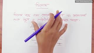 ০১.০৮. অধ্যায় ১ : প্রাণিবৈচিত্র‍্য - অঞ্চলায়ন