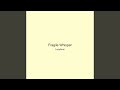 Fragile Whisper