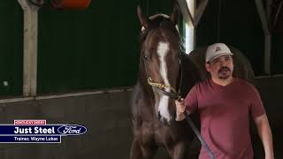 Just Steel Arrives at Churchill Downs