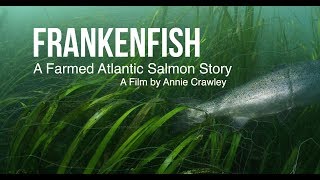 Frankenfish A Farmed Atlantic Salmon Story by Annie Crawley