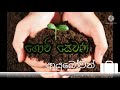 කෘෂිකාර්මික උපදෙස් හා කෘෂිකර්ම දැනුම agricultural advice and agricultural knowledge