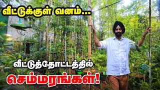 ஒரு பட்டனை தட்டினால் மழை வருமா 😲 |  வீட்டுத்தோட்டத்தில் அசத்தும் ஜஸ்வந்த் சிங் | Home Garden