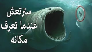 هل تعلم أن الحوت الذى ابتلع سيدنا يونس حي حتي الان؟ ! اليك الحقيقة كامله