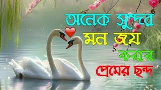 ভালোবাসার ছন্দ ❤।অনেক সুন্দর মন জয় করার প্রেমের ছন্দ। দুষ্টু মিষ্টি প্রেমের ছন্দ, মায়াবী কন্ঠ