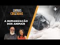 Linhas Cruzadas | A humanização dos animais | 20/10/2022