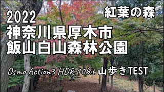 Osmo Action3 HDR,10bit山歩きTEST 紅葉2022  神奈川県厚木市「飯山白山森林公園」