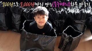 가성비 끝판왕 블루베리 화분, 만능 화분 만들기 700원으로 7,000원 화분 만들기