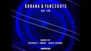 Kobana \u0026 Yane3dots - BN2 1TW (David Granha Remix)