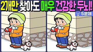 【다른그림찾기/치매예방】🔥차이점 3개 중 2개만 찾아도 초특급 두뇌!【 find difference / 두뇌운동/3개 찾기/5문제/#924】