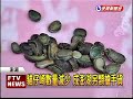 澎湖貓仔崎 在地人的私房菜－民視新聞