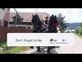 friesian horse carriage beautiful horses 2018