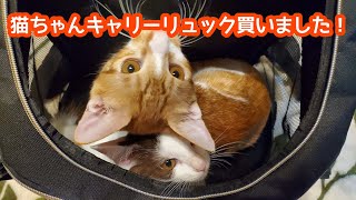 猫ちゃん達のキャリーリュック買ってみた！