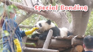 I Also Want This Special Bonding With Pandas | iPanda