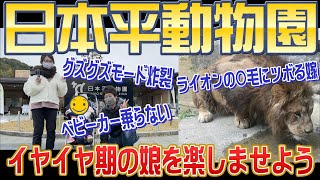 【vlog】日本平動物園でイヤイヤ期になりかけの1歳8ヶ月の娘と遊ぶ！