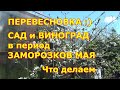 ПЕРЕВЕСНОВКА :) Сад и виноград в период заморозков. Что делаем в мае