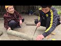 the boy who sheds thread makes a place for bowls and chopsticks and a rice cooker from bamboo