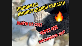 Трилобиты и другие. УВИДЕТЬ СВЕТ через 450 миллионов лет! Кто жил до нас под Петербургом ?