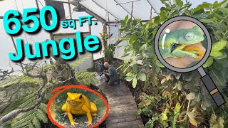 This Greenhouse Holds a Mini Amazon Jungle - Poison Frogs \u0026 Tree Snakes!