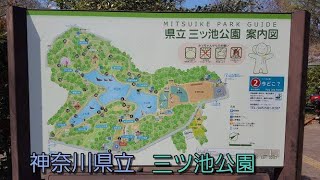 今回は横浜市にある三ツ池公園を散歩♪