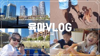 [🇦🇺호주Vlog]🚂기차타고 시티구경,호주돌문어🐙잡다,홈메이트 쿠키🍪만들기,어금니앓이🦷스팸무스비,호주일상