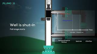 Brush Plunger - Conventional Plunger Lift, GAPL
