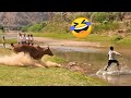 TRY NOT TO LAUGH 😆 Best Funny Videos Compilation 😂😁😆 Memes PART 228