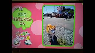 ぽち君、NHK盛岡放送局「おばんですいわて」に12回目の登場。