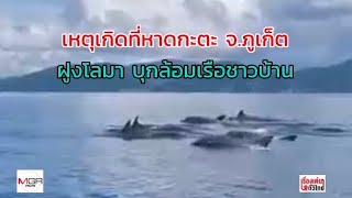 สุดตื่นเต้น! แห่แชร์คลิปสนั่นโซเชียล ฝูงโลมาขนาดใหญ่บุกล้อมเรือชาวบ้าน : เรื่องเด่นทั่วไทย