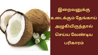 இறைவனுக்கு உடைக்கும் தேங்காய் அழுகியிருந்தால் செய்ய வேண்டிய பரிகாரம்,