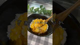 【双子シンママが作るワンパン飯】