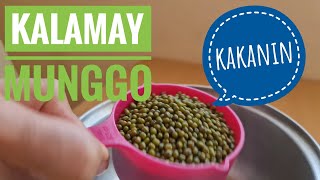 Kalamay na Munggo recipe