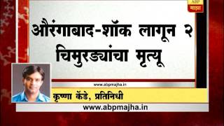 औरंगाबाद : शेतातील वीजेच्या खांबाला चिकटून 2 चिमुरड्यांचा मृत्यू