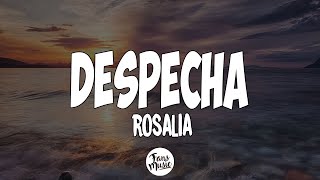 despecha - Rosalía (Letra/Lyrics)